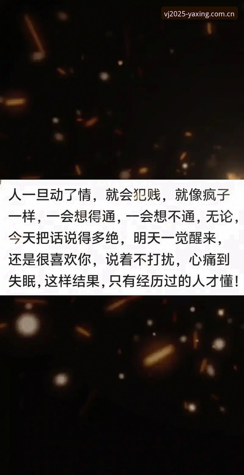 VJEE2025版下载怎么下载 揭秘VJEE2025版下载背后的真实操作:从一个投注者的深夜困惑说起
